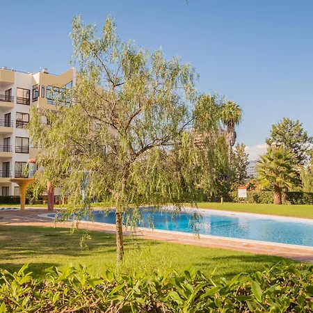 Lovely View * 포티마오