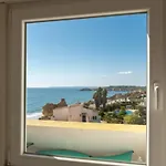 Lovely View *