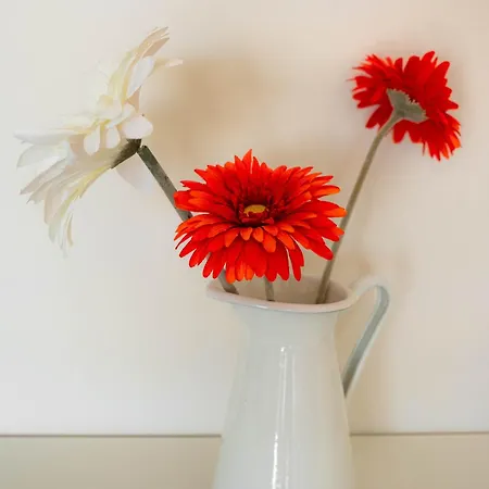 Daire Lovely View Portimão