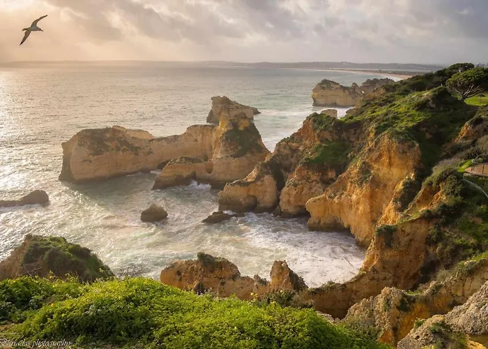 Lovely View Apartment *