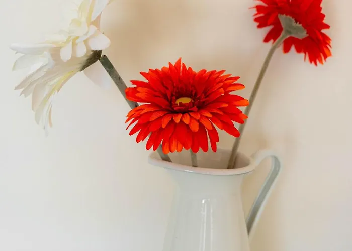 Apartamento Lovely View Portimão